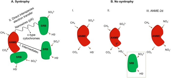 FIG 5