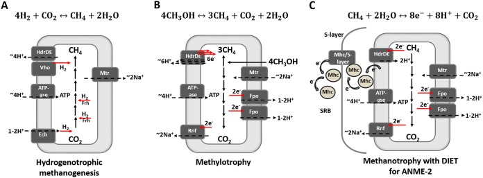 FIG 4