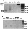 FIG. 7