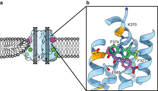 Fig. 6