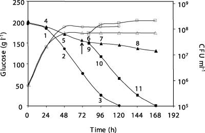 FIG. 1.