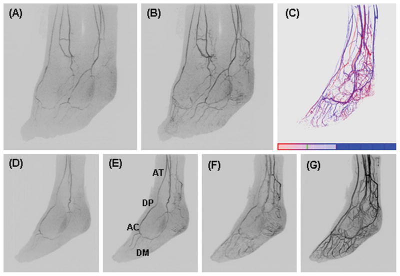 Fig. 7