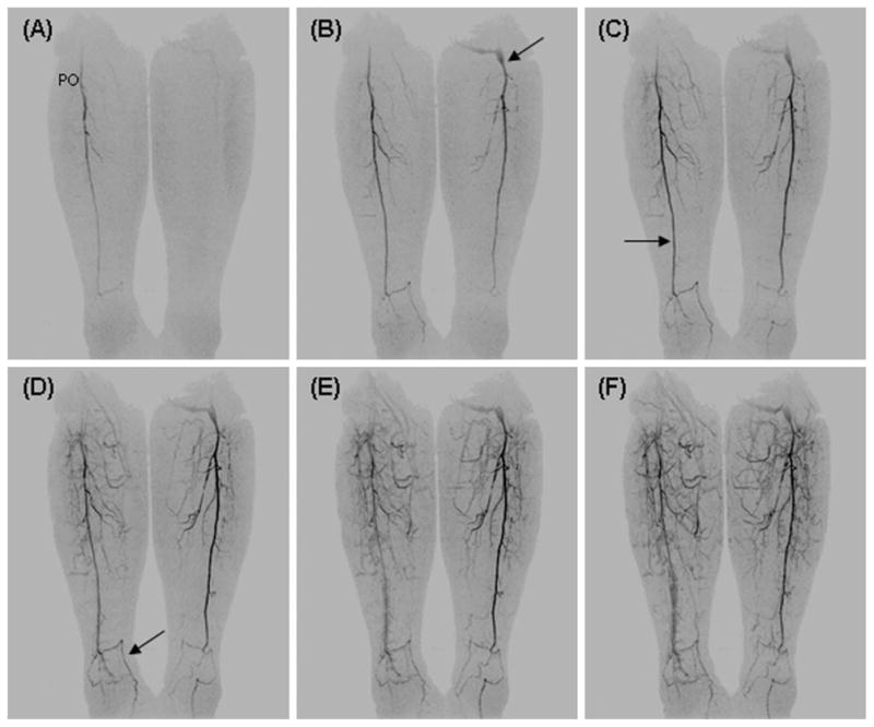 Fig. 6