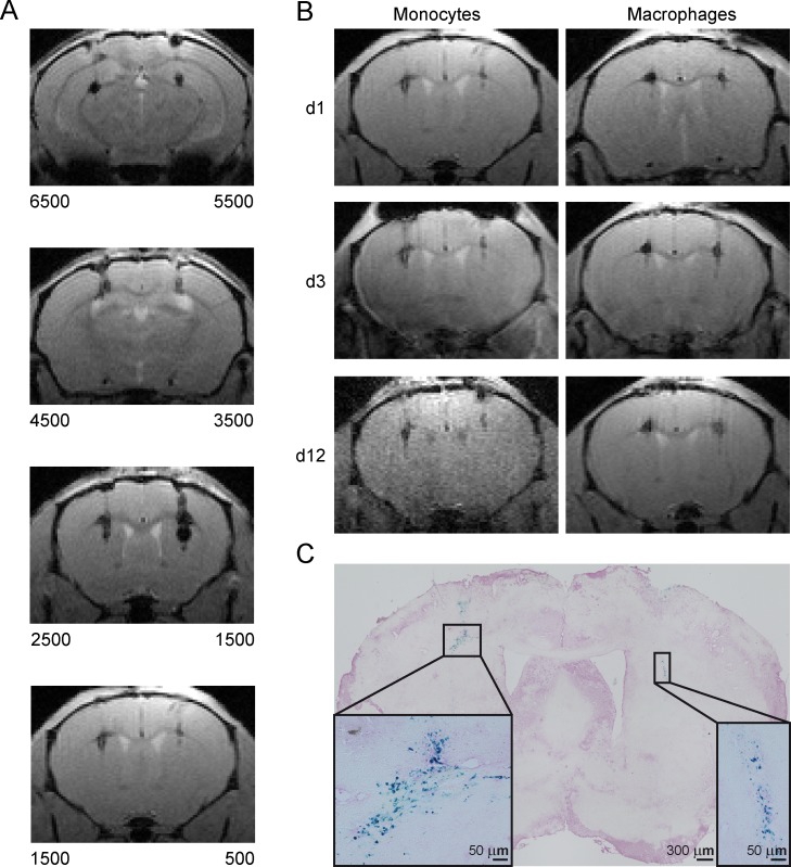 Fig 5