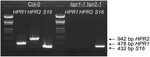 Figure 7.