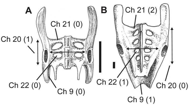 Figure 9