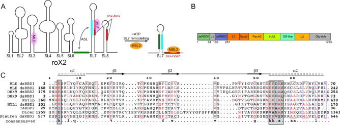 Figure 1.