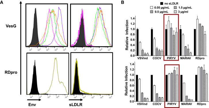 Figure 5