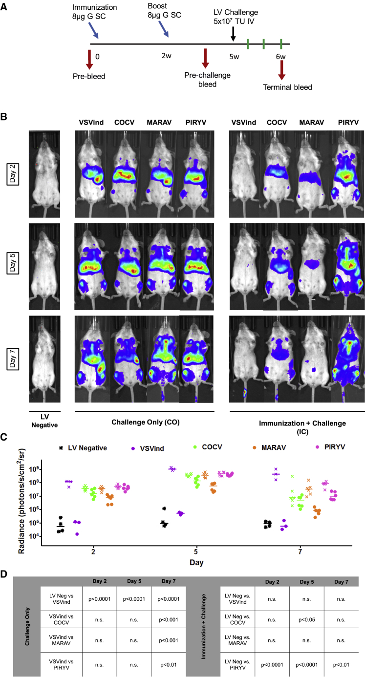 Figure 4