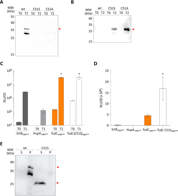 FIG 4