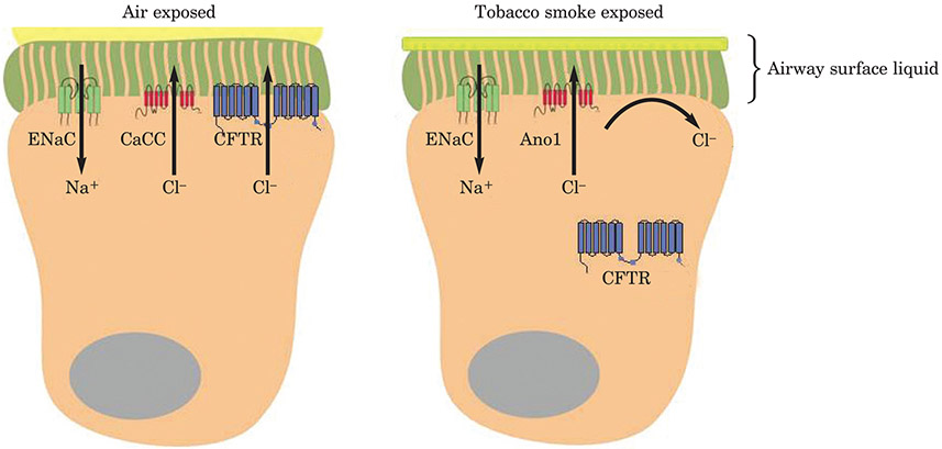 Figure 8: