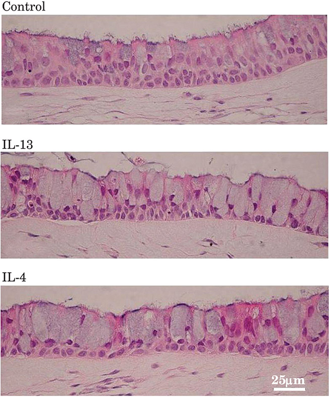 Figure 10: