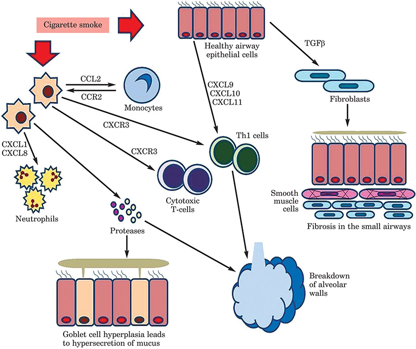 Figure 4: