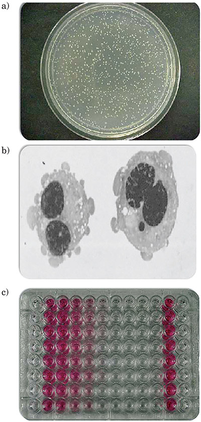 Figure 1: