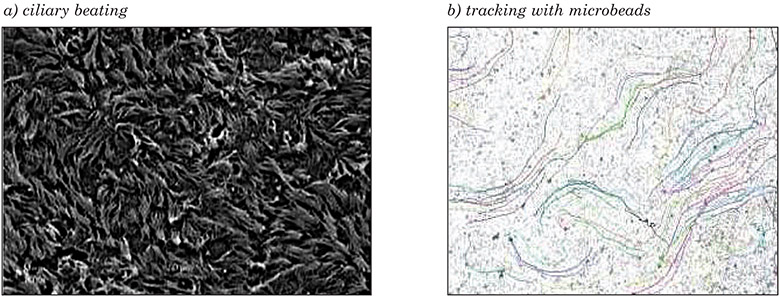 Figure 9: