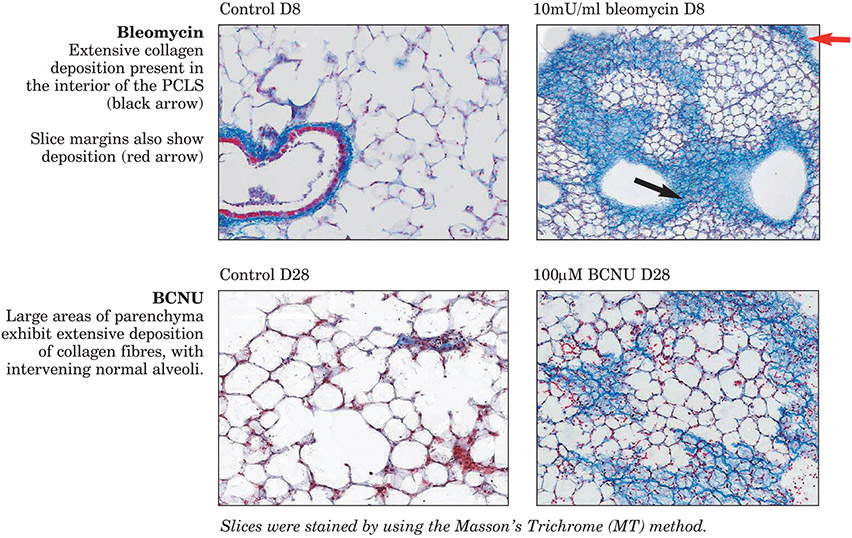 Figure 13: