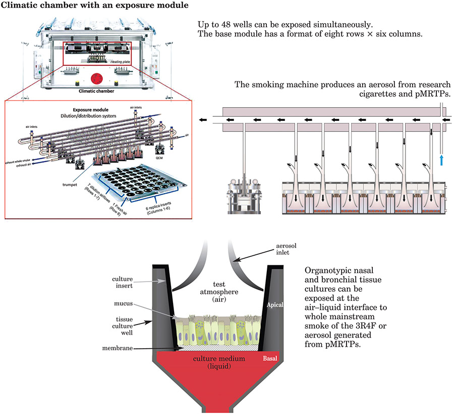 Figure 11: