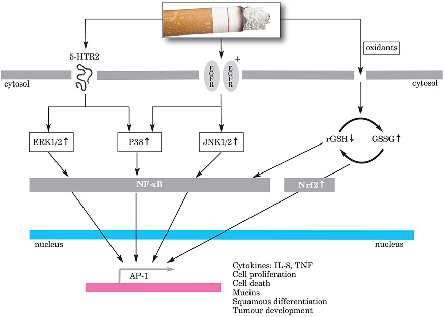 Figure 7: