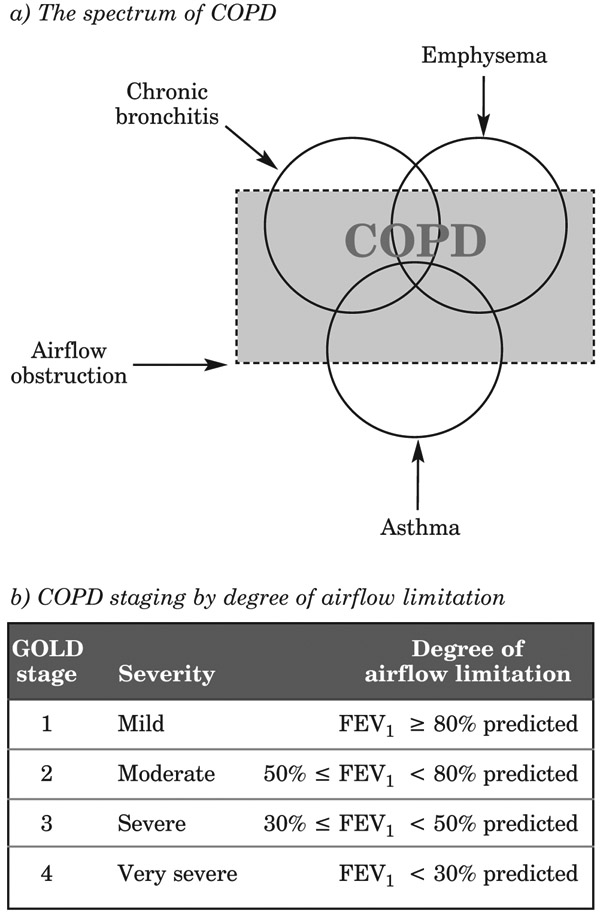 Figure 5: