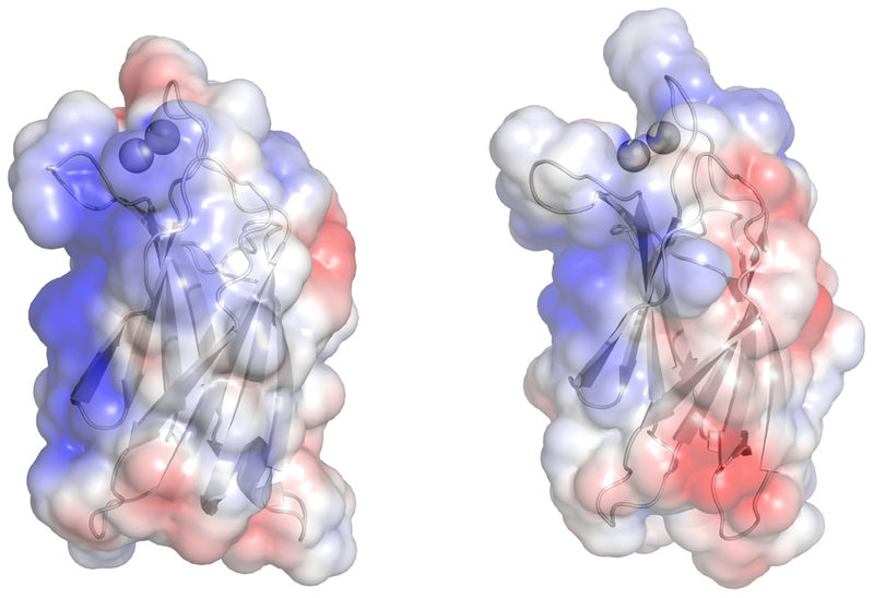 Figure 8: