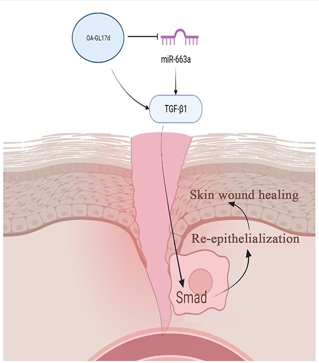 Graphical Abstract