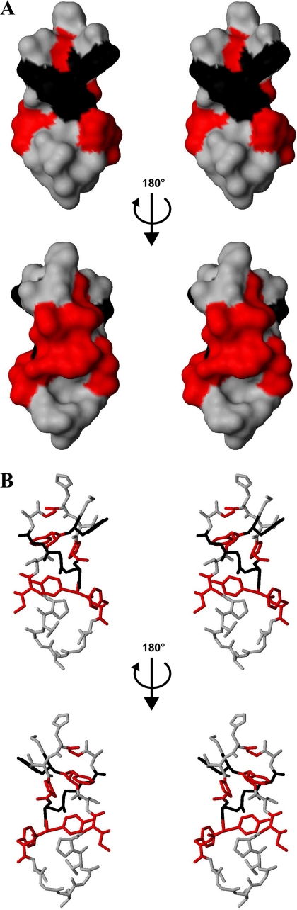 FIGURE 4.