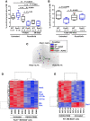 Figure 2. Impact of ruxolitinib in preleukemic cells. A, Flow cytometric analysis of Pax5+/− (n = 4–9) and WT (n = 4–8) mice treated with ruxolitinib (for 14 or 28 days) identified a significant decrease of bone marrow pro-B and pre-B cells (B220lowIgM−) due to the treatment. Box plots horizontal bars represent the mean ± SD. To determine statistical significance, an unpaired t test was used. B, Percentage of BM pro-B and pre-B cells (B220lowIgM−) of 1-year-old Pax5+/− (n = 5) and WT (n = 5) mice that were previously treated with ruxolitinib for 28 days and compared with age-matched untreated Pax5+/− (n = 7) and WT (n = 4) mice. Box plots horizontal bars represent the mean ± SD. To determine statistical significance, an unpaired t test was used. C, Principal component analysis plot showing the differences in gene expression of B220+ BM cells from Pax5+/− mice treated with ruxolitinib (red dots; n = 4), untreated Pax5+/− mice (green dots; n = 4), ruxolitinib-treated WT mice (purple dots; n = 5), and untreated WT mice (blue dots; n = 5). Dotted arrows represent the ruxolitinib treatment effect on gene expression of B220+ BM cells from WT and Pax5+/− mice. RUXO, ruxolitinib. D, Unsupervised heatmap showing the significant differentially expressed genes (1,504 genes-probesets) between B220+ bone marrow cells from Pax5+/− mice treated with ruxolitinib during 2 weeks (n = 4) and Pax5+/− untreated mice (n = 4). E, Unsupervised heatmap showing the significant differentially expressed genes (294 genes-probesets) between B220+ BM cells from control-WT mice treated with ruxolitinib during 2 weeks (n = 5) and control-WT untreated mice (n = 5). The significance analysis of microarrays was defined by an FDR = 0.015%.