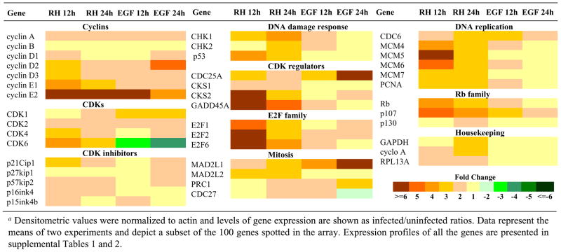 graphic file with name nihms89704f9.jpg