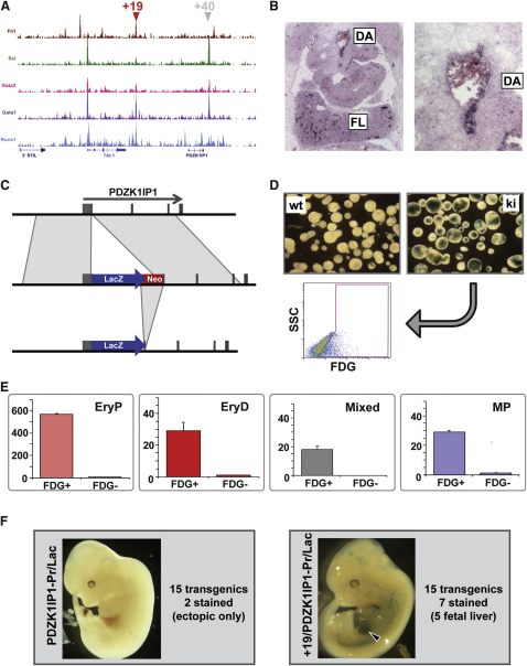 Figure 6