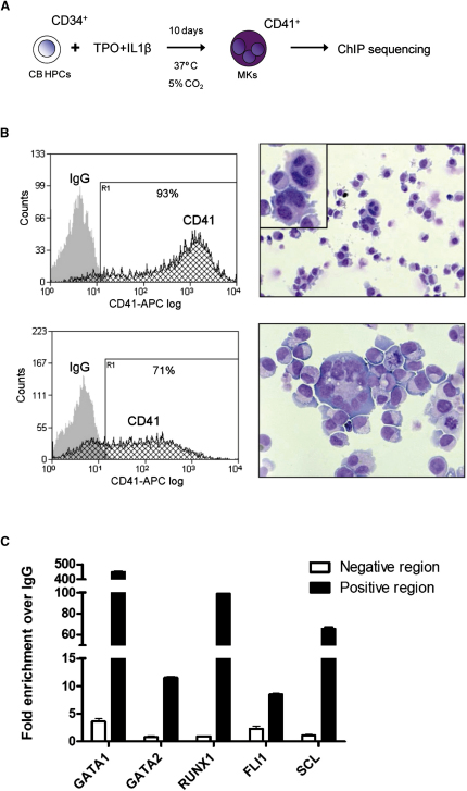 Figure 1