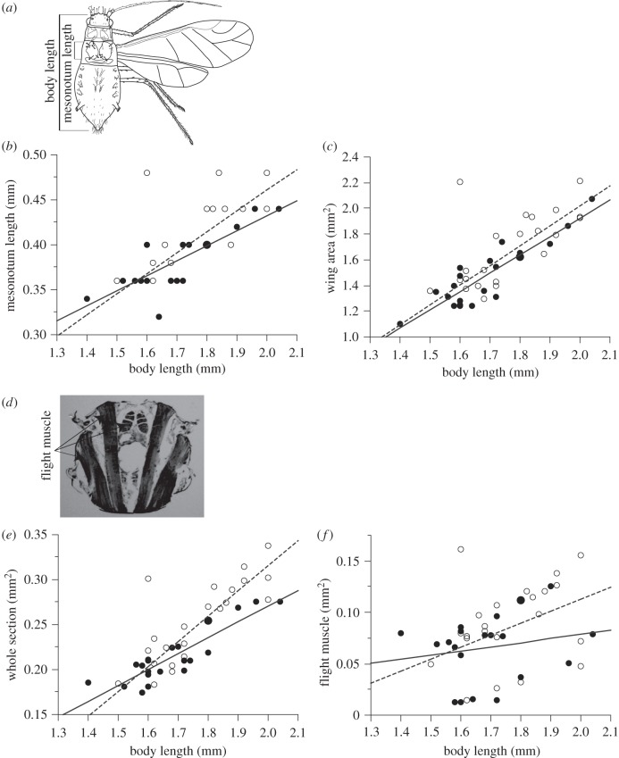 Figure 1.