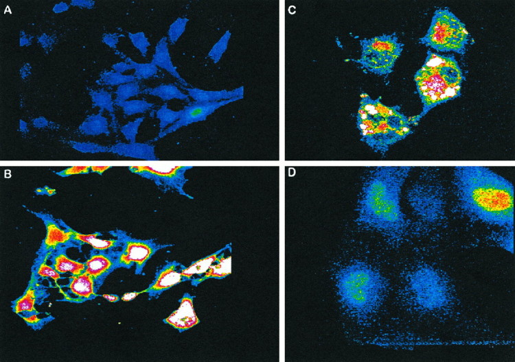 Fig. 9.