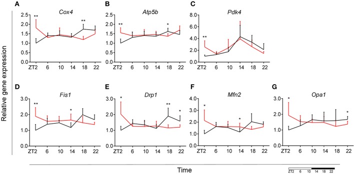 Figure 6