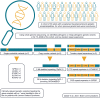 Graphical Abstract