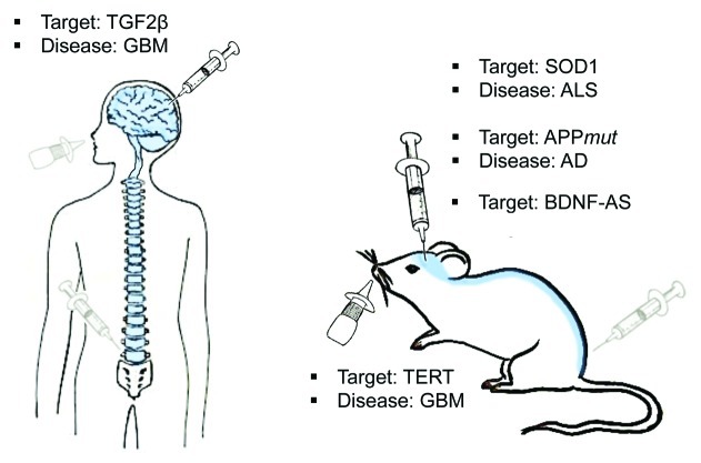 graphic file with name rna-9-860-g3.jpg