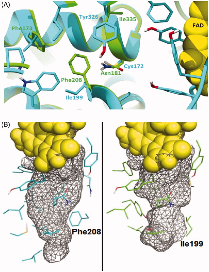 Figure 1.