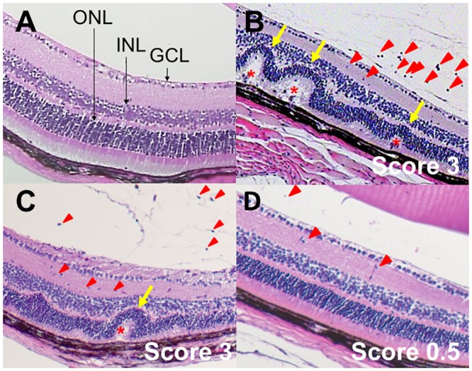 Fig 3