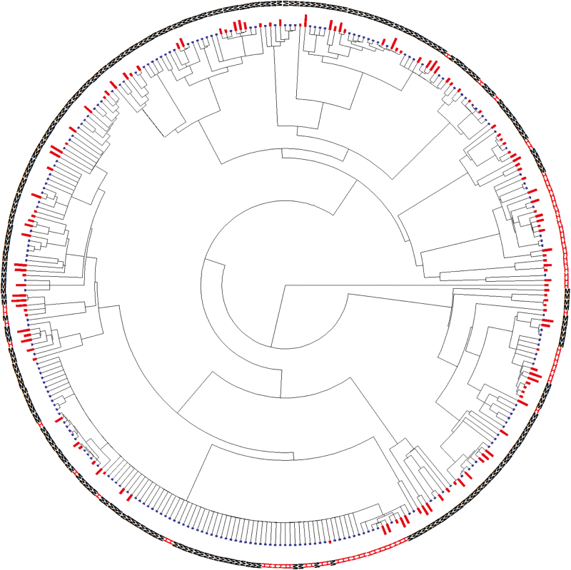 Fig. 2.