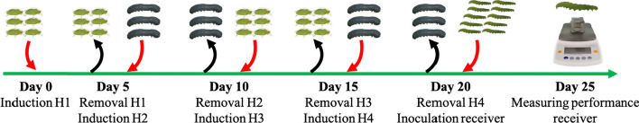 Fig. 1