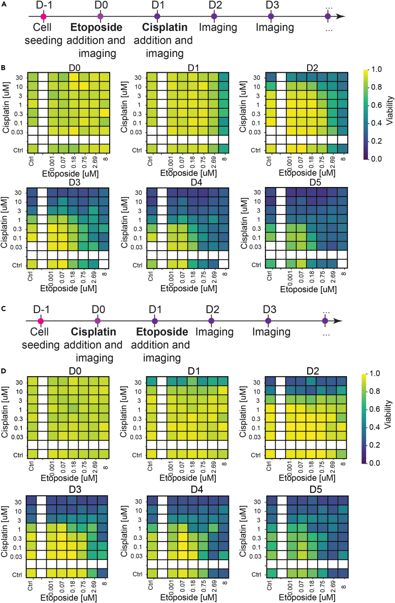 Figure 6