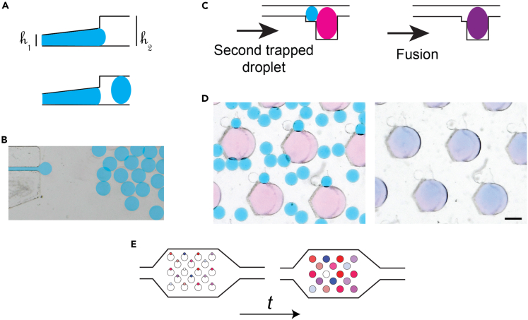 Figure 3