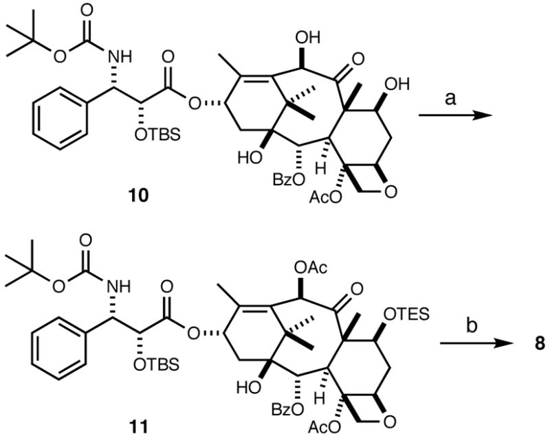 Scheme 4