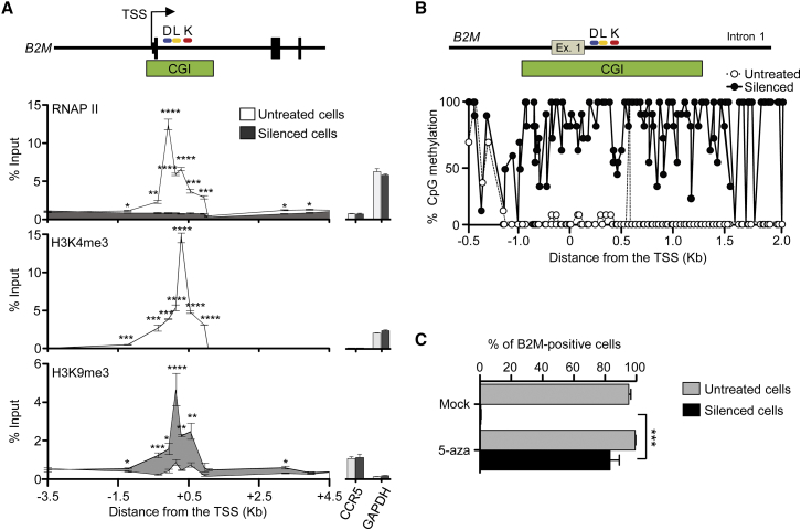 Figure 5