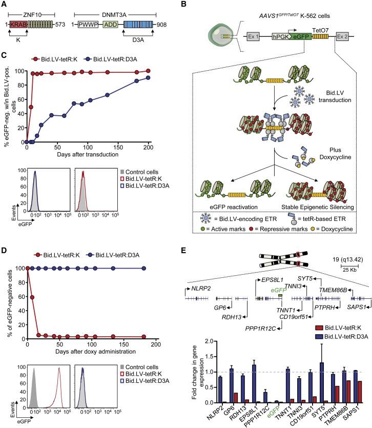 Figure 1