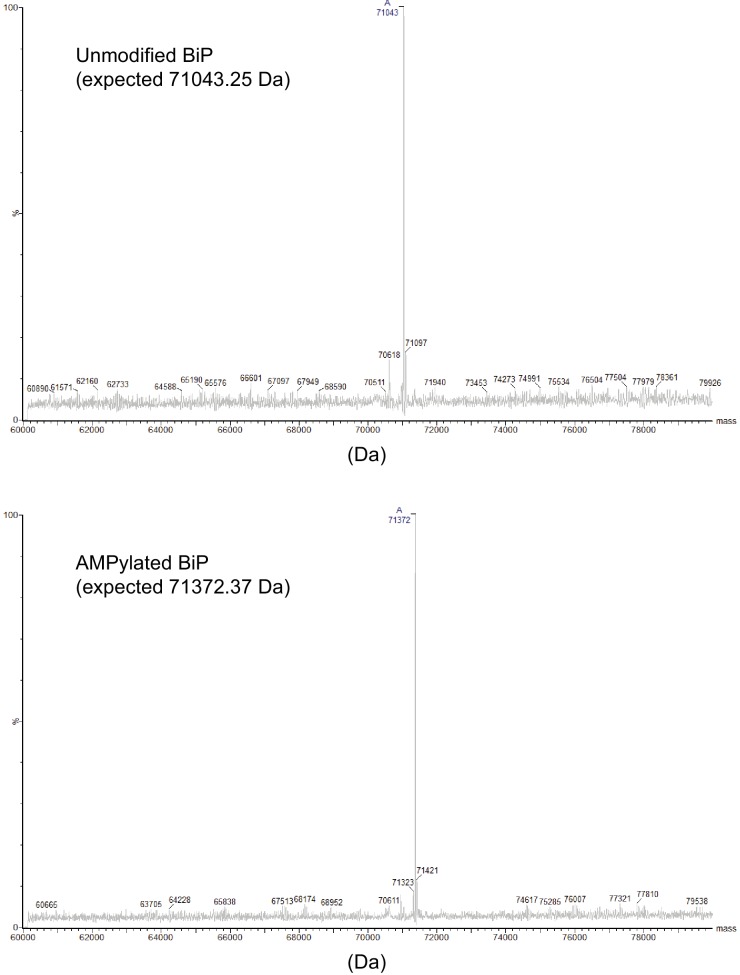 Figure 1—figure supplement 3.