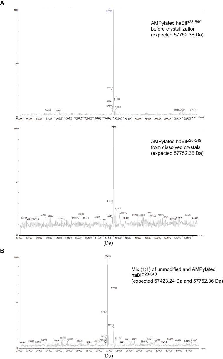 Figure 2—figure supplement 4.