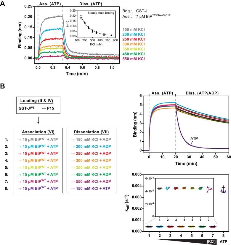 Figure 5—figure supplement 2.