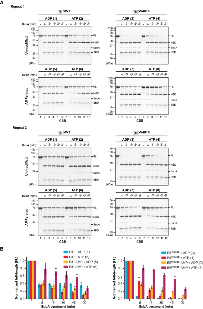 Figure 1—figure supplement 2.