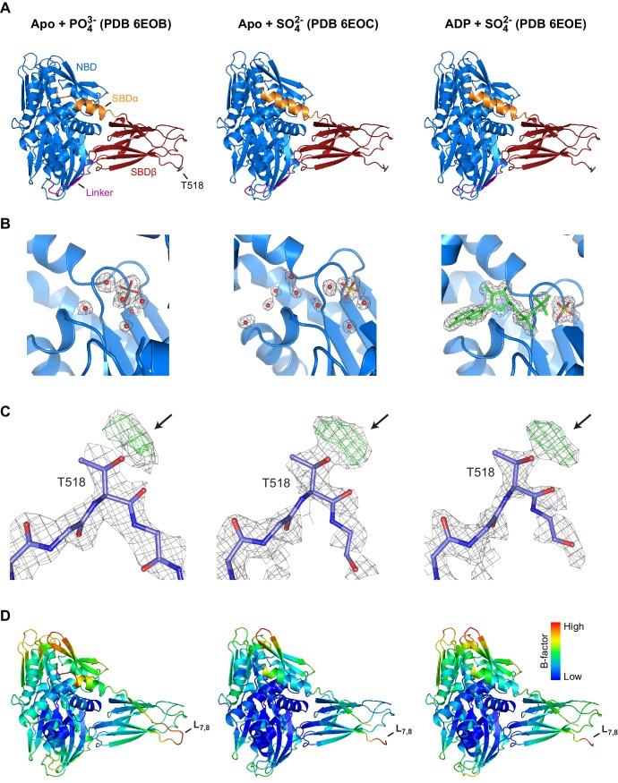 Figure 2—figure supplement 3.