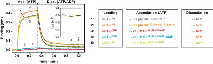 Figure 5—figure supplement 1.